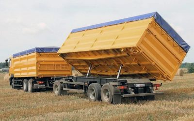 Услуги зерновозов для перевозки зерна - Сортавала, цены, предложения специалистов