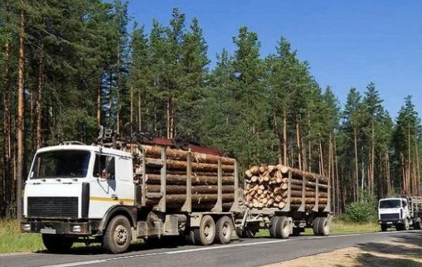 Лесовозы для перевозки леса, аренда и услуги. - Петрозаводск, заказать или взять в аренду