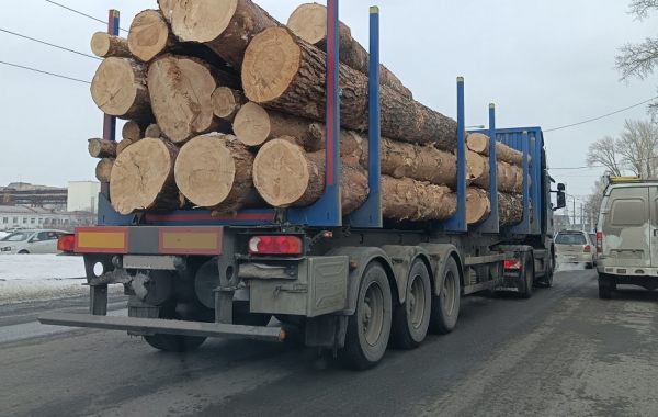 Поиск транспорта для перевозки леса, бревен и кругляка - Петрозаводск, цены, предложения специалистов