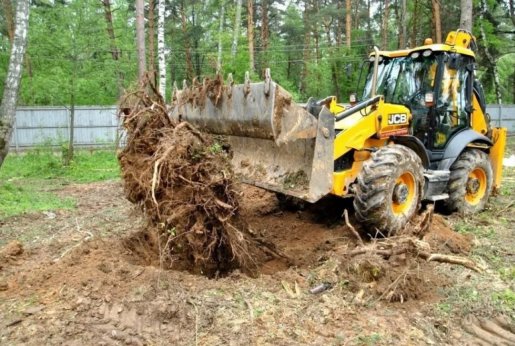 Удаление пней и корчевание вручную и со спецтехникой стоимость услуг и где заказать - Петрозаводск