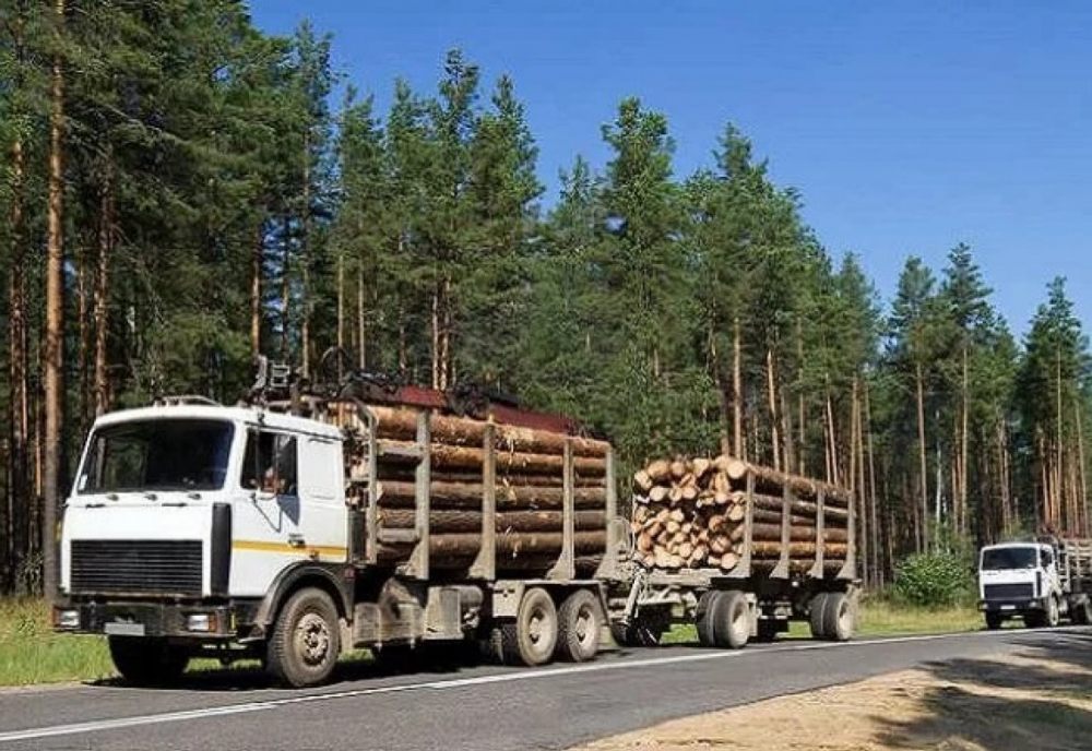 Лесовоз Лесовозы для перевозки леса, аренда и услуги. взять в аренду, заказать, цены, услуги - Петрозаводск