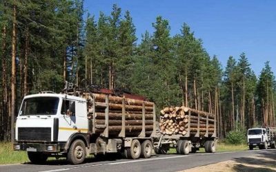 Лесовозы для перевозки леса, аренда и услуги. - Петрозаводск, заказать или взять в аренду