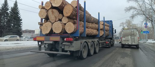 Поиск транспорта для перевозки леса, бревен и кругляка стоимость услуг и где заказать - Петрозаводск